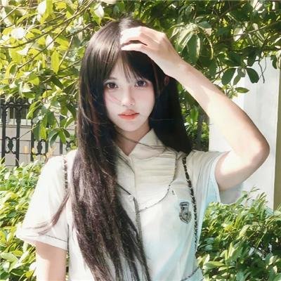 白粉飞 第五季